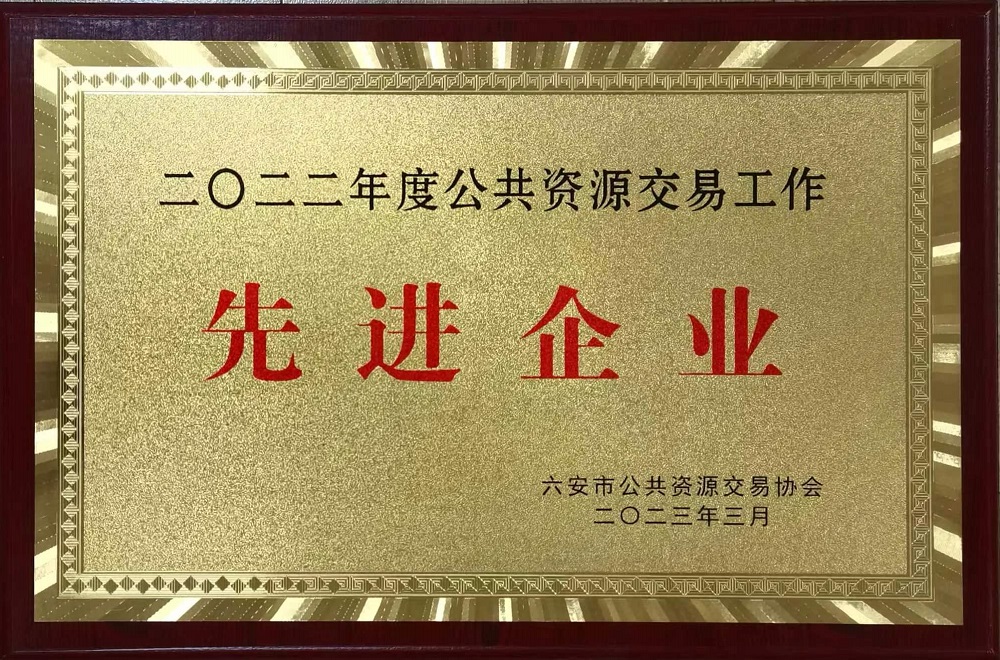 2022年度六安市公共資源交易工作先進(jìn)企業(yè)202303.jpg